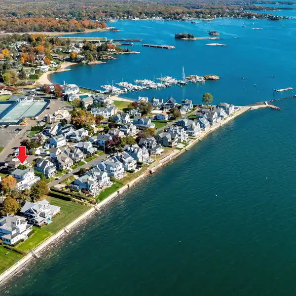 THE GRANDE DAME OF PINE ORCHARD