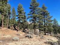 CONSTRUYA LA CASA DE SUS SUEÑOS EN CLEAR CREEK TAHOE