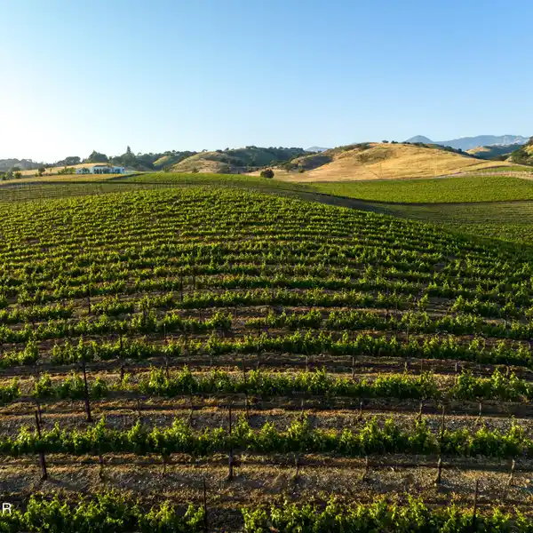 BUILD YOUR DREAM WINE COUNTRY ESTATE ON 20 ACRES
