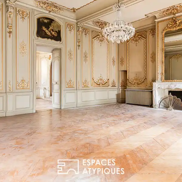 GRAND 19TH-CENTURY APARTMENT IN CARMES MANSION