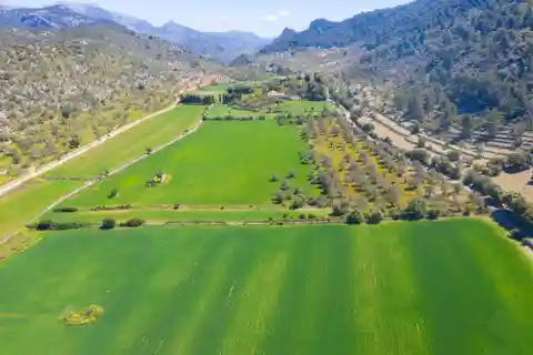 Fantastic Property in Orient