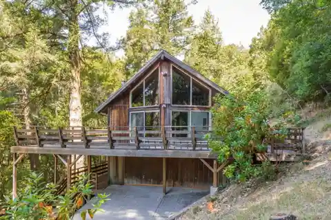 Treehouse Retreat with Mid-Century Character