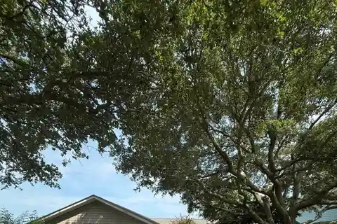Rare Opportunity on the Intracoastal Waterway