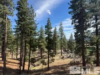 Exciting Opportunity in Clear Creek Tahoe