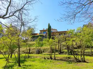 Contemporary Elegance in a Natural Setting