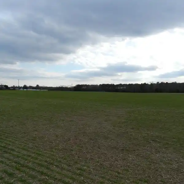 58-PLUS ACRES IN HISTORIC SMITHFIELD