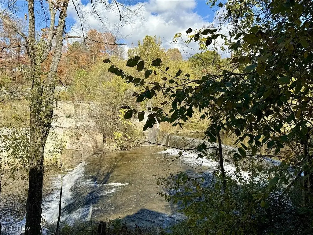Large Image
