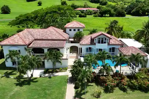 Island Oasis