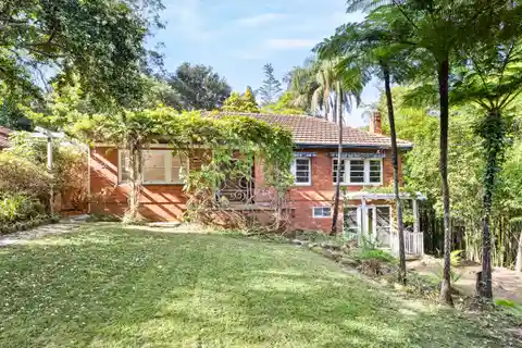 A Sensational Blank Canvas