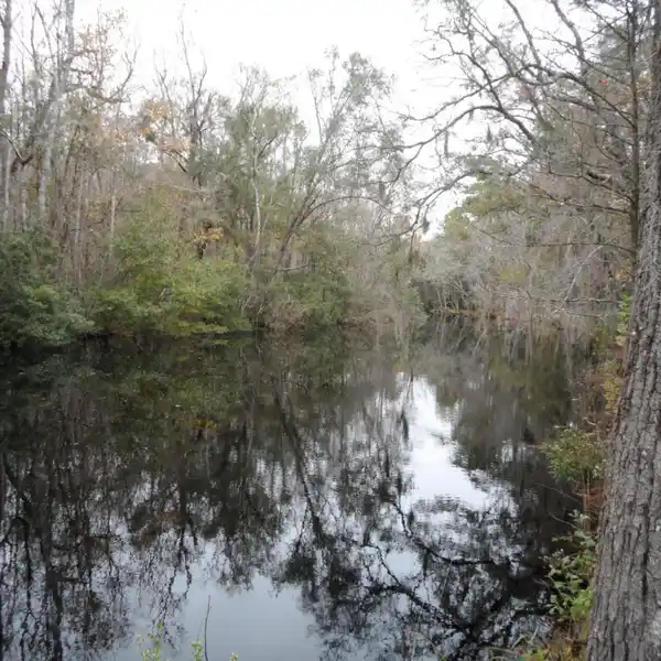 BEAUTIFUL ACREAGE