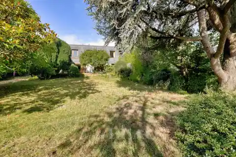 Architect-Designed Property on a Beautiful Street