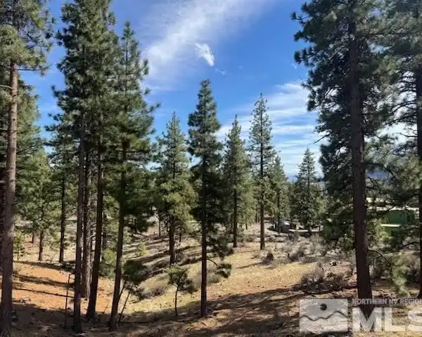 EXCITING OPPORTUNITY IN CLEAR CREEK TAHOE