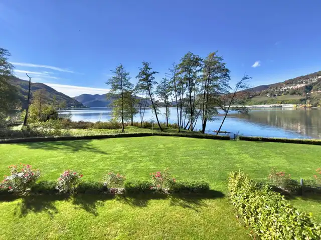 Large Image