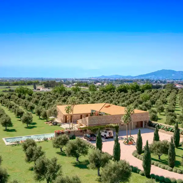 LARGE FINCA WITH OLIVE GROVE AND VINEYARD IN INCA