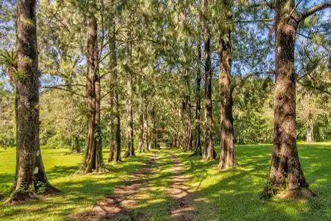 Amazing Lot in Heredia