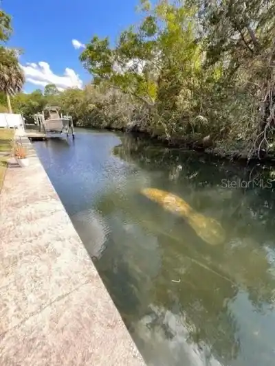 AMAZING WATERFRONT HOME IN CRYSTAL SHORES ESTATES