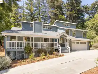 Updated Gem in the Redwoods of Montclair