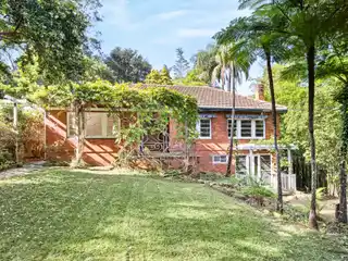 A Sensational Blank Canvas