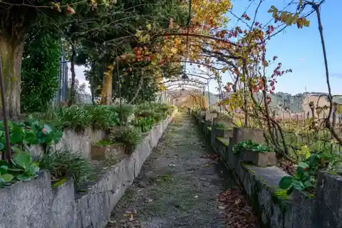 Wine Estate in the Douro Demarcated Region