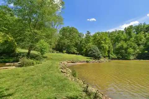 Rare Lakeside Sanctuary Minutes from Downtown