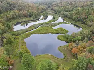 Fabulous 220-Acre Property