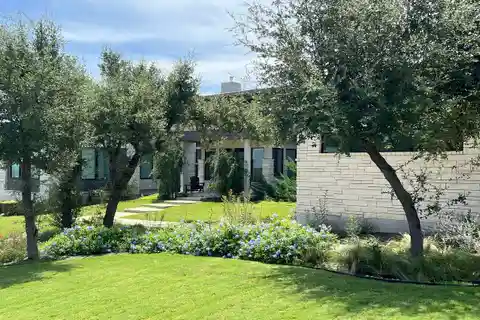 Modern Elegance Meets Hill Country Serenity