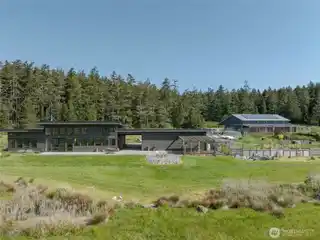 Rare Creative Sanctuary