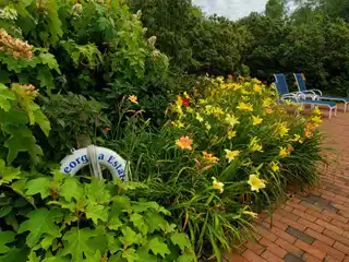 Four Bedroom Unit for Rent in a Desirable Hamptons Complex