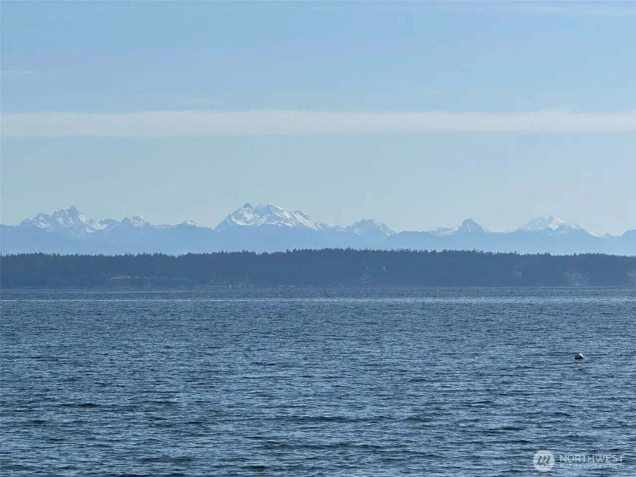 Large Image