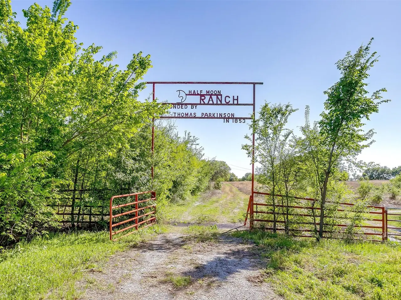 Large Image