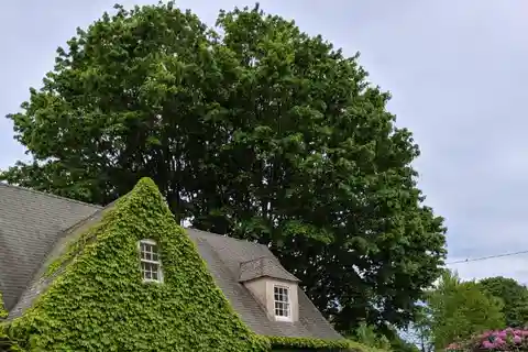 Lovely Cottage Style Home for Rent in Southampton Village