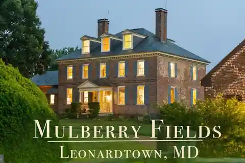 Mulberry Fields