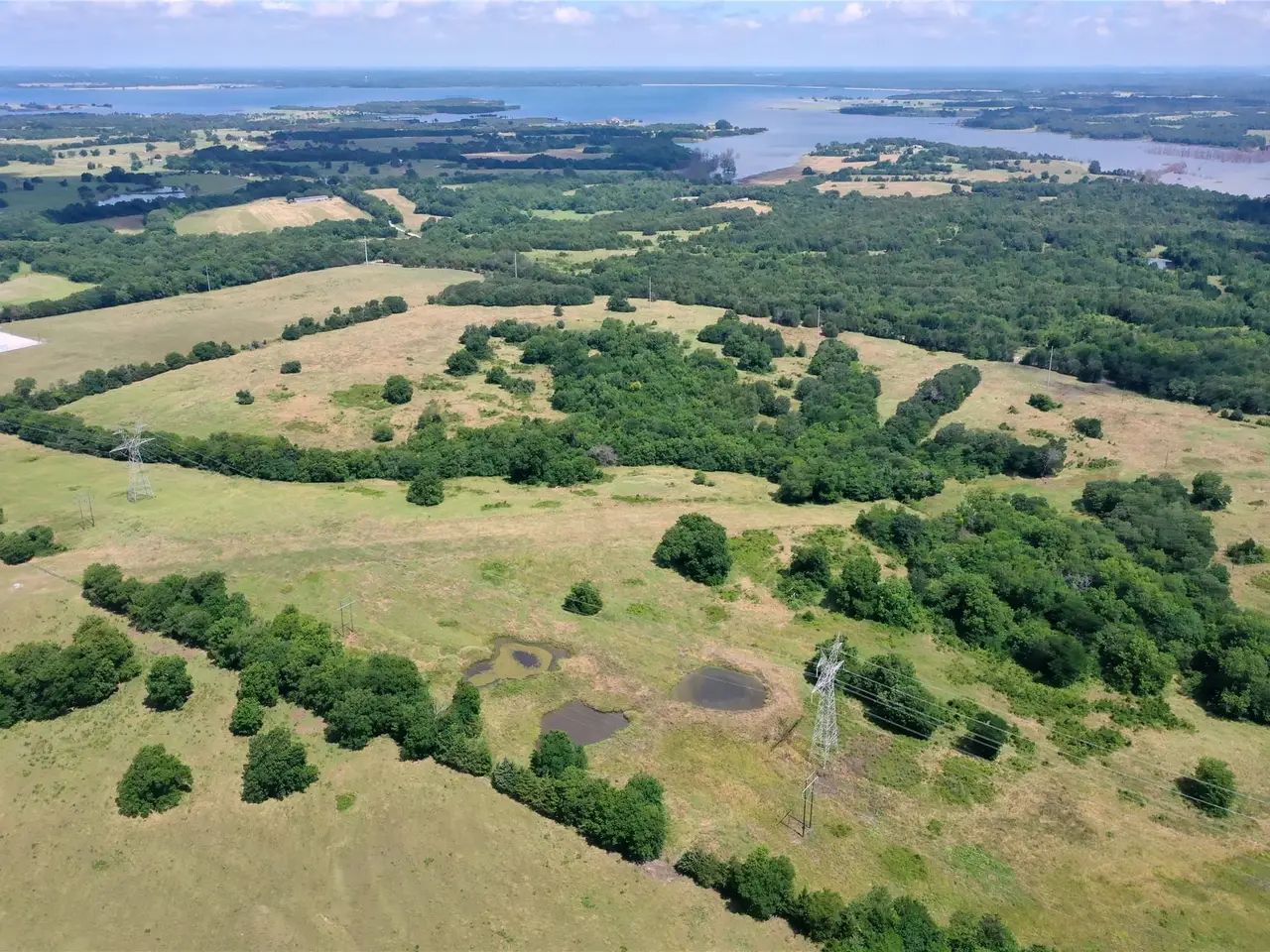 Large Image