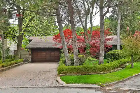 Country Tranquility Meets City Convenience