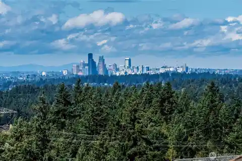 Forest-Backed Retreat with Skyline Views