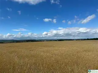 Create a Dream Retreat on 24 Acres