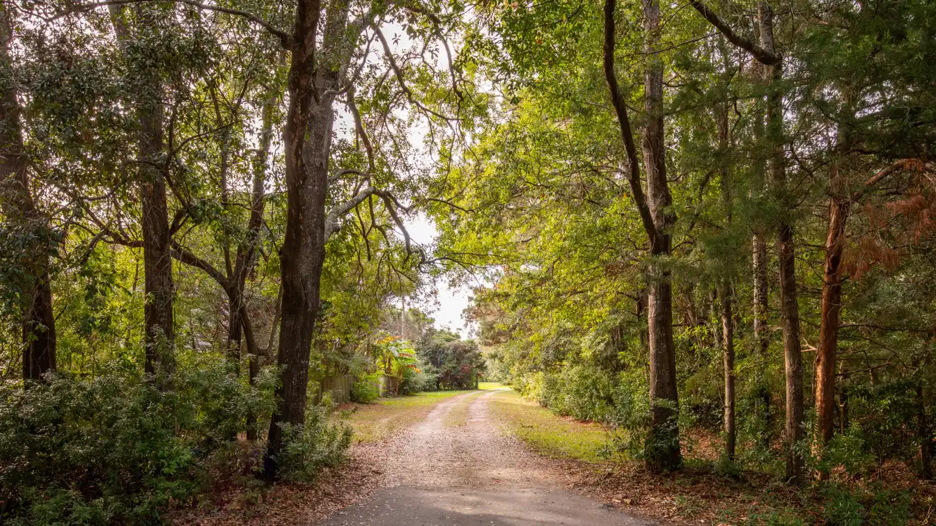 Unique Opportunity on James Island