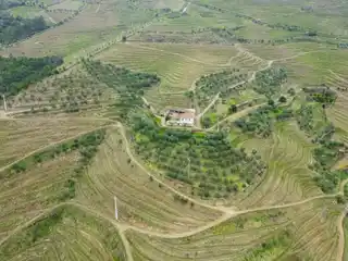 Exceptional Vineyard Property