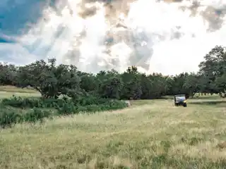 Create Your Dream Equestrian Estate on Five Acres