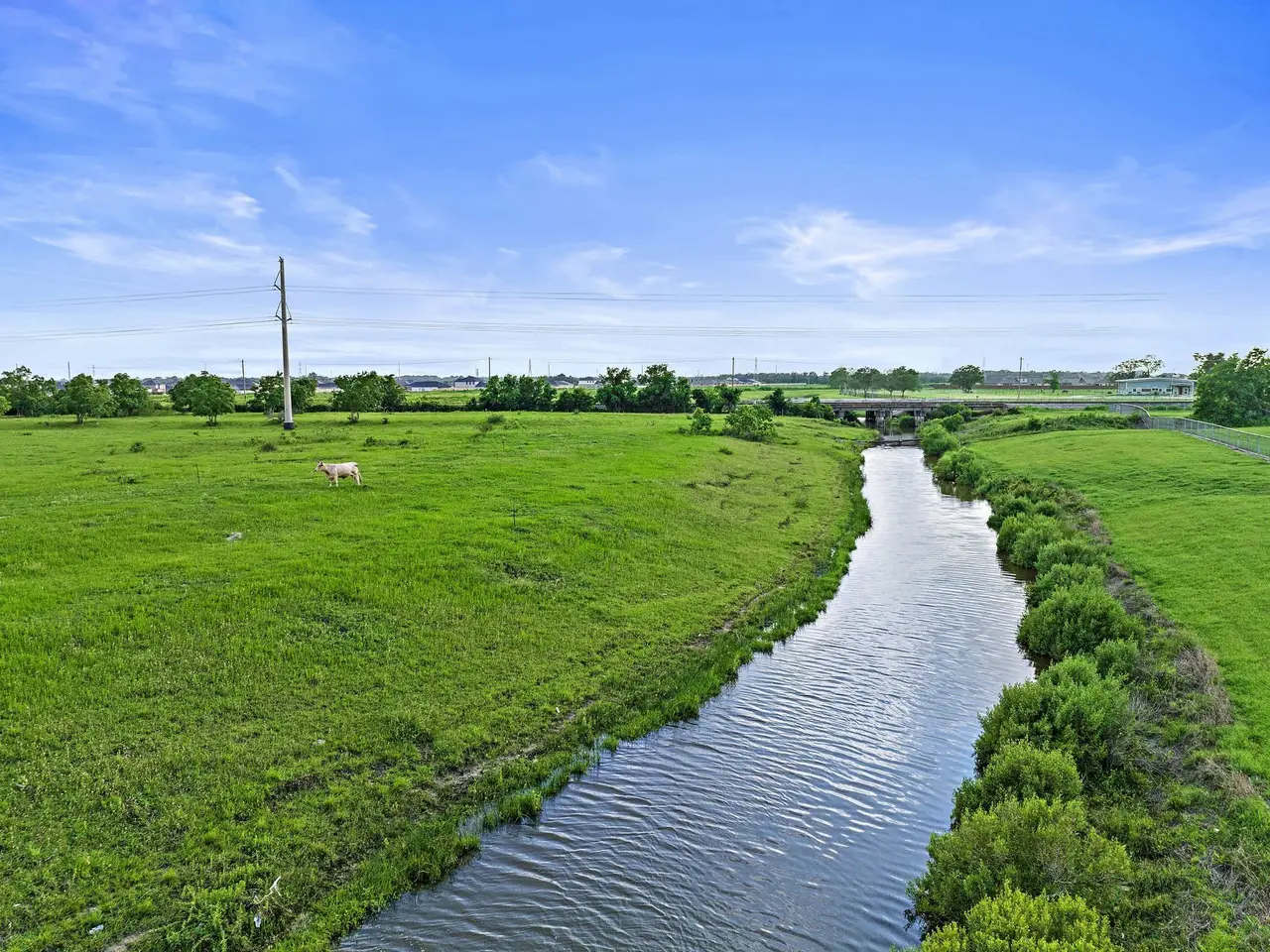 Large Image