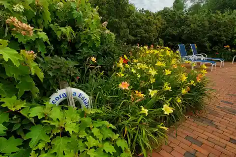 Four Bedroom Unit for Rent in a Desirable Hamptons Complex