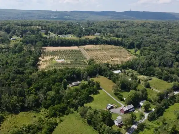 RESTORED 1740 FARM WITH CIDERY