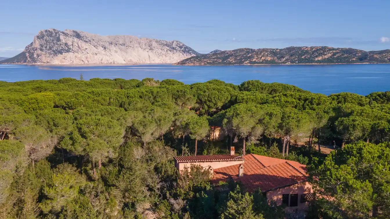 Secluded Country Home in Capo Coda Cavallo