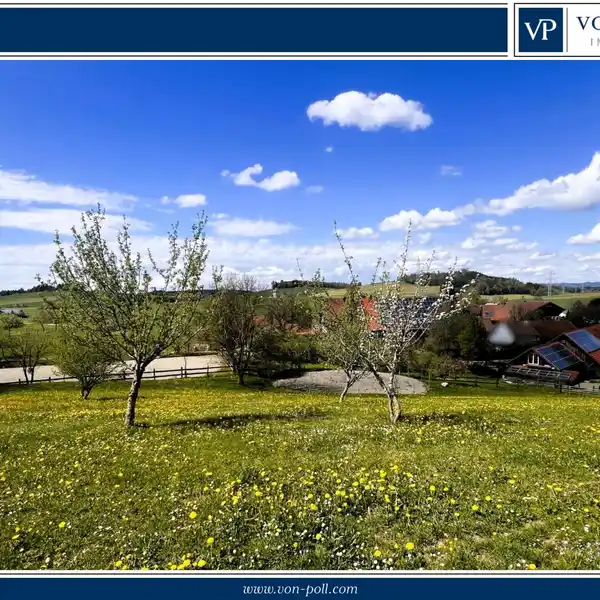 EXPANSIVE EQUESTRIAN PROPERTY