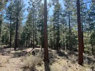 Perfect Near-Acre Property