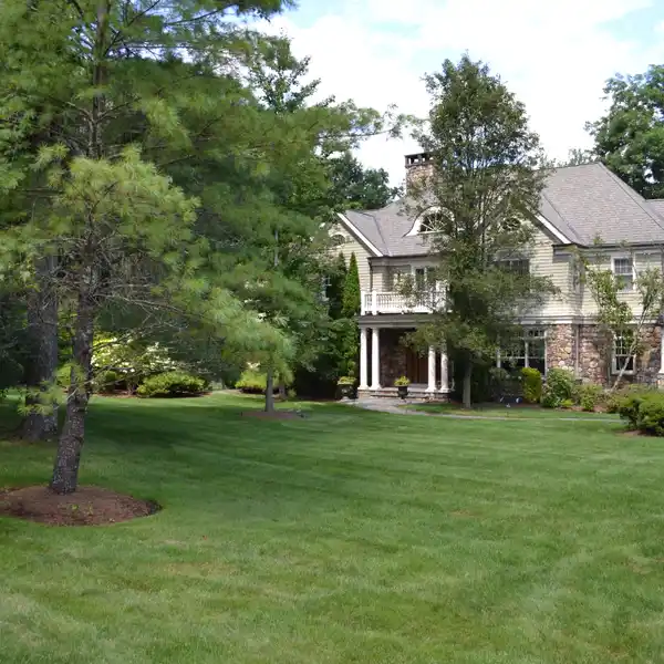 TIMELESS ELEGANCE AND MODERN LUXURY