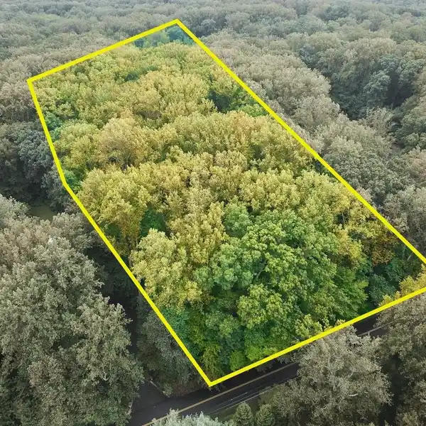 CREATE A DREAM RETREAT SURROUNDED BY NATURE'S BEAUTY