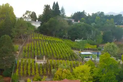 Spacious Home with Vineyard and Beautiful Hillside Views