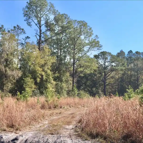42 PRIME ACRES