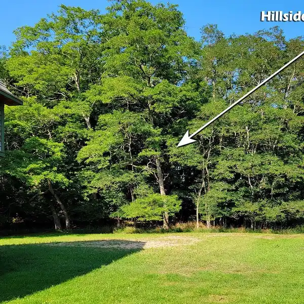 WOODED PARCEL IN THE VILLAGE OF EMPIRE